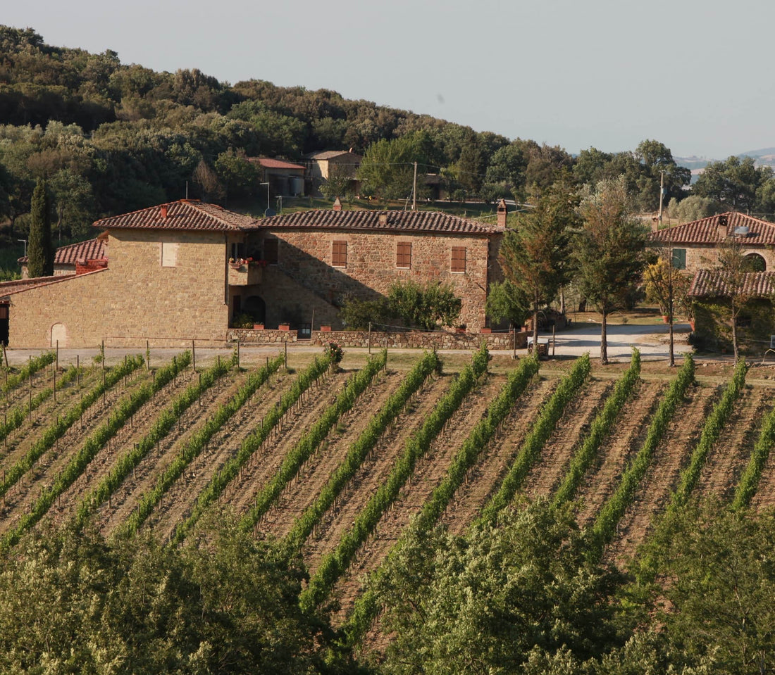 Sassetti Livio Pertimali