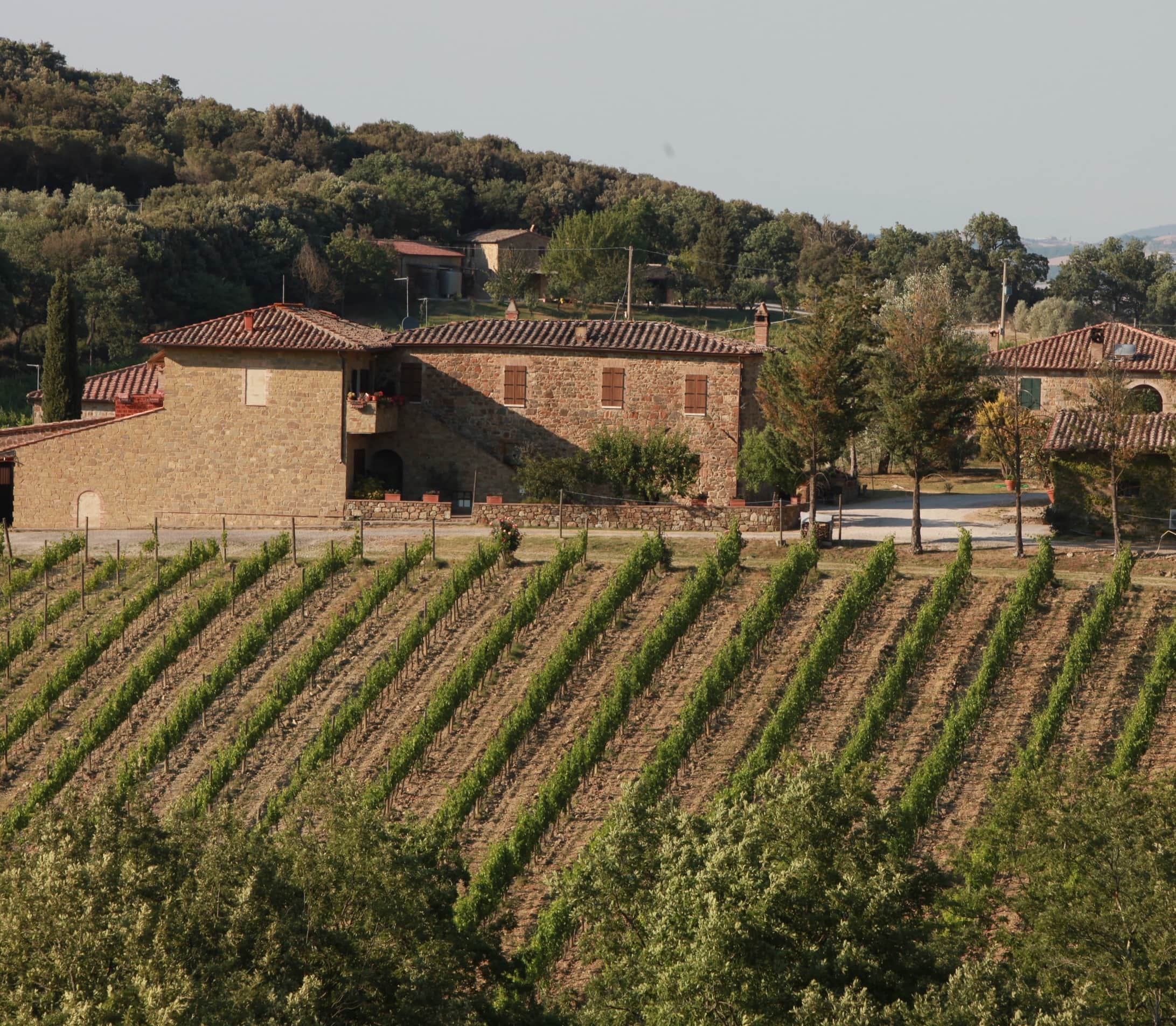 Sassetti Livio Pertimali